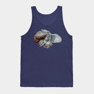 Young Goshawk in training Tank Top